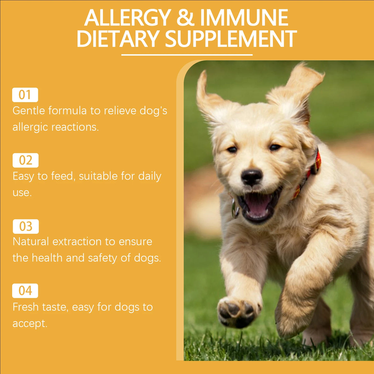 Dog Allergy Immune Dietary Supplement Natural Formula Relieve Allergic Reactions Daily Use Safe for Dogs Immune Support Liquid