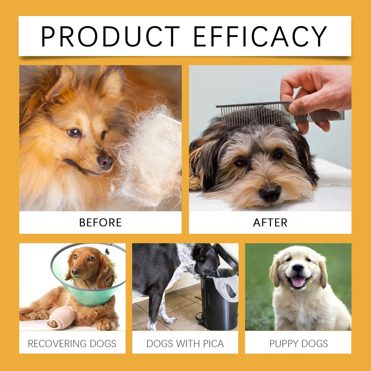 Dog Allergy Immune Dietary Supplement Natural Formula Relieve Allergic Reactions Daily Use Safe for Dogs Immune Support Liquid