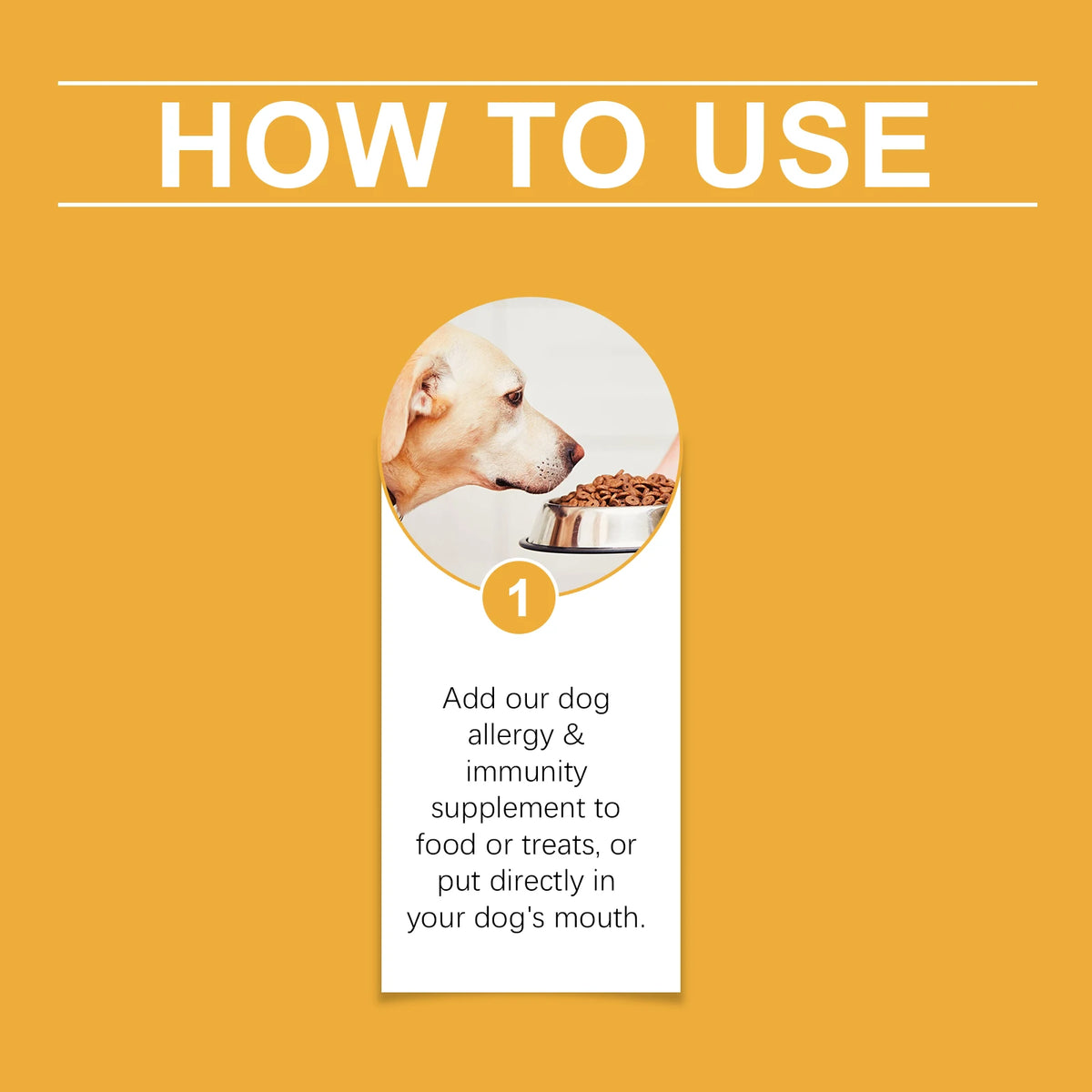 Dog Allergy Immune Dietary Supplement Natural Formula Relieve Allergic Reactions Daily Use Safe for Dogs Immune Support Liquid