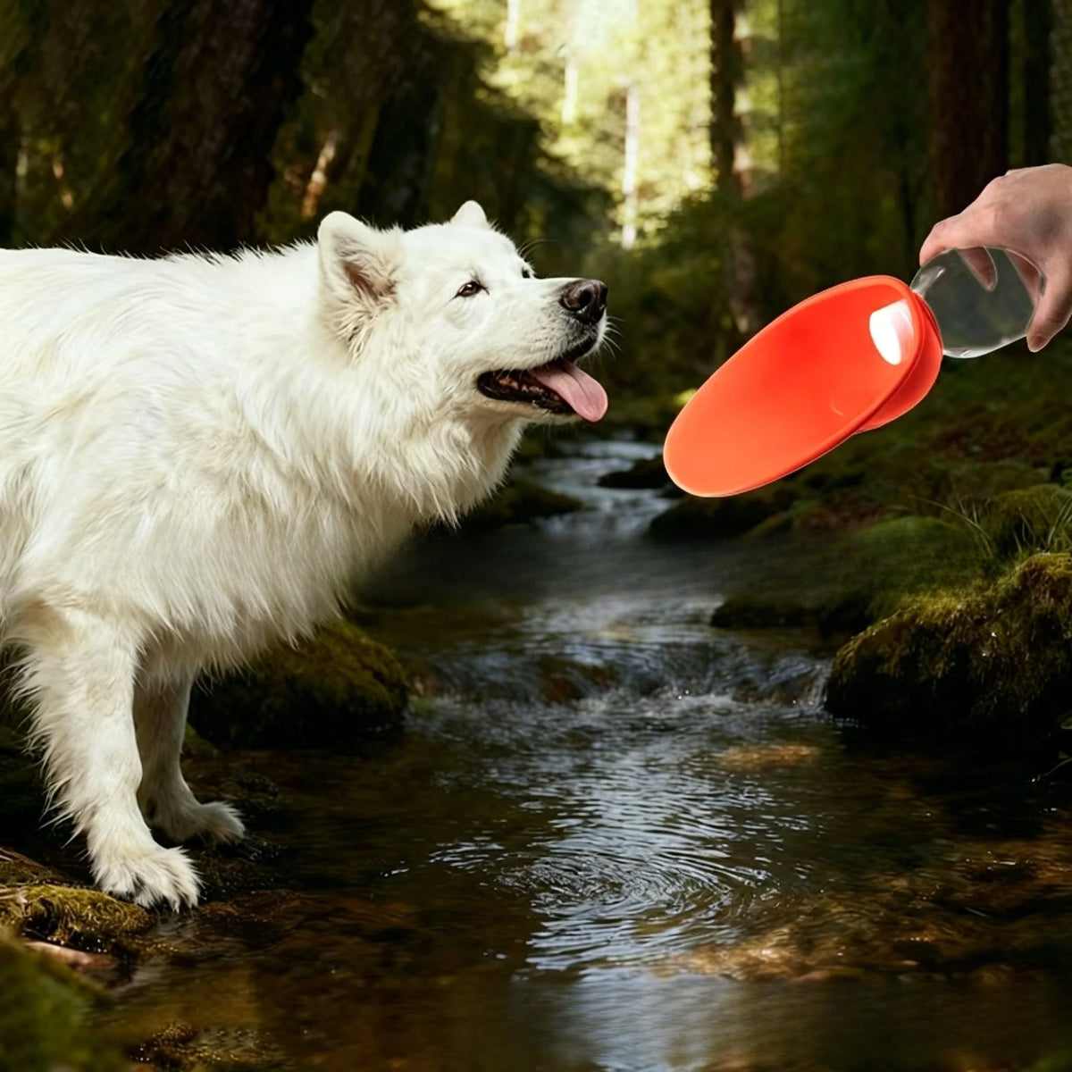 Dog water bottle, portable pet water dispenser, leak-proof design, suitable for outdoor walks, hikes, and travel