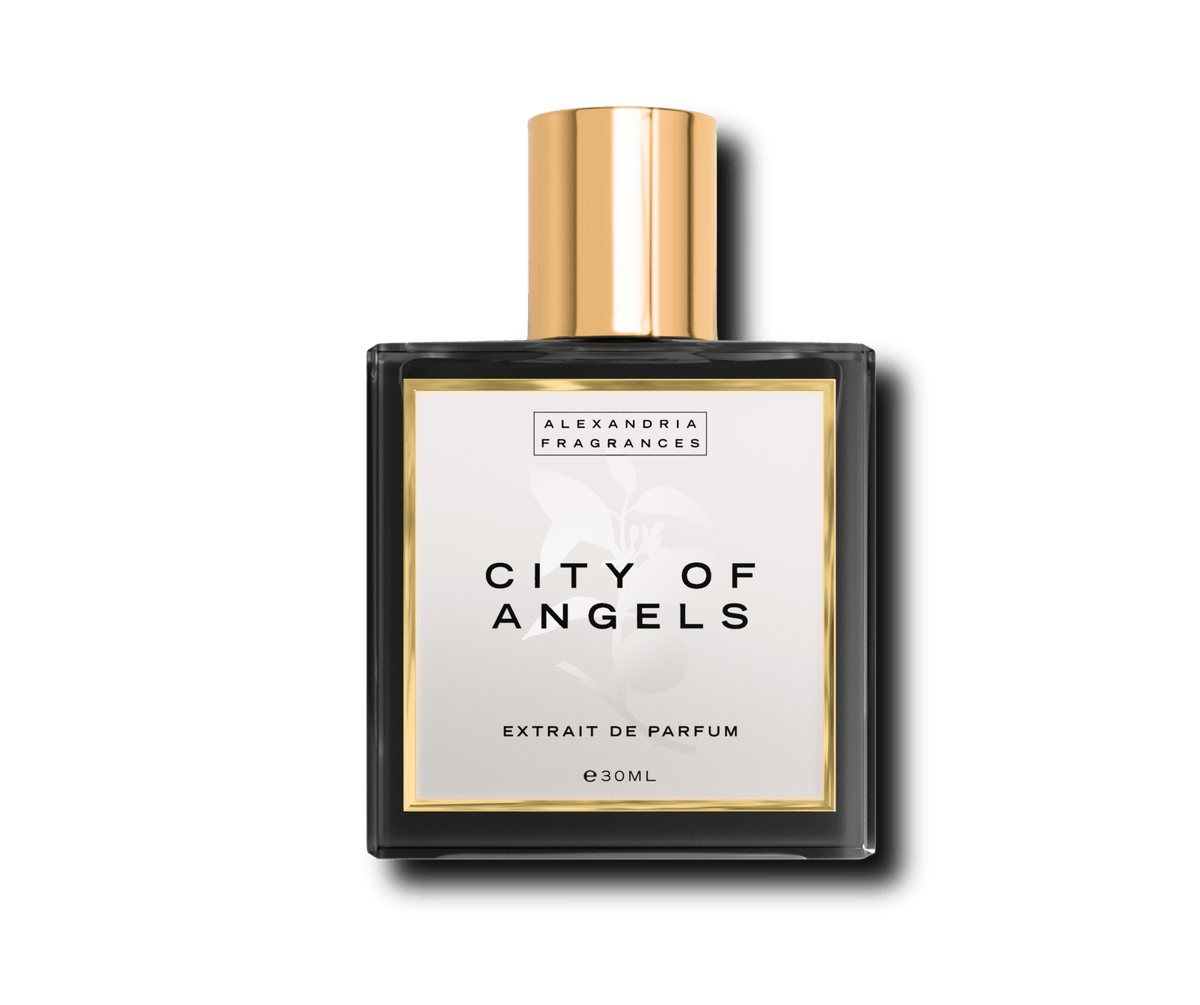 City of Angels Inspired By LV Louis Vuitton City Of Stars